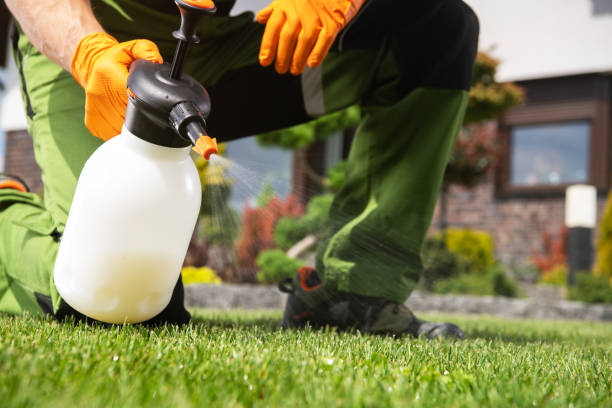 Best Pest Control for Businesses  in Murillo, TX