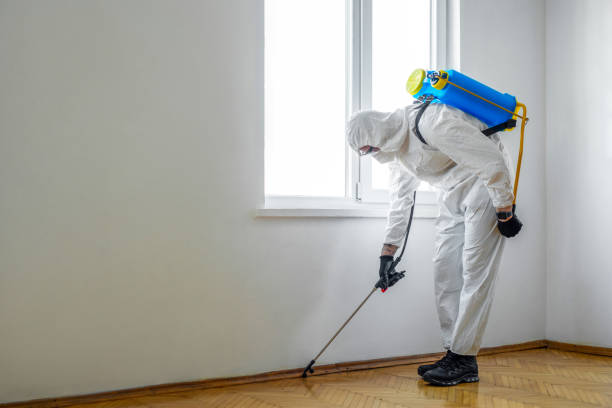 Best Commercial Pest Control Services  in Murillo, TX